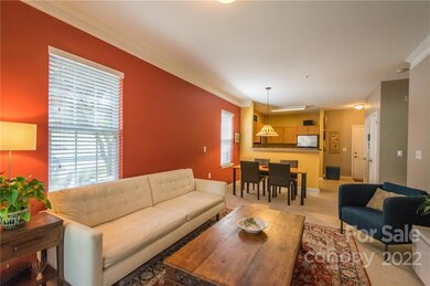 518 Appeldoorn Cir unit 518, Asheville, NC 28803 - photo 6