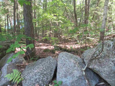 0 Algonquin unit 4696862, Bridgton, ME 04009 - photo 2