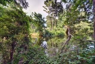 181 Merion, St. Simons Island, GA 31522 - photo 3