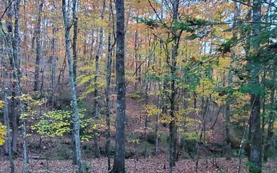 Additional View