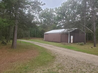 2185 W 15 Mile Rd, Bitely, MI 49309 - photo 4