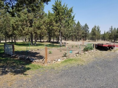 Heavily treed back yard and garden
