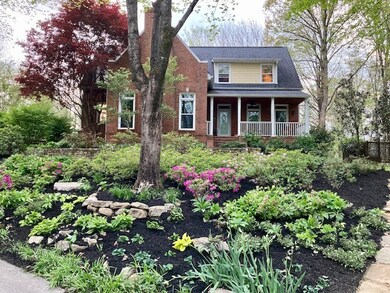 A glimpse of spring!