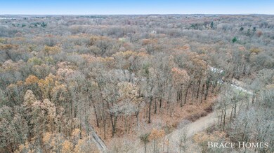 7436 Thornapple Dales Dr SE, Alto, MI 49302 - photo 6