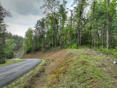 Lot 14 Watersong Trail, Ellijay, GA 30540 - photo 2
