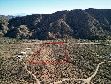 5821711 Big Morongo Canyon Rd, Morongo Valley, CA 92256 - photo 7