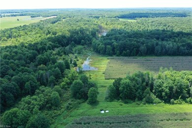 0 Stanhope Kelloggsville Rd unit 4473477, Denmark, OH 44032 - photo 5