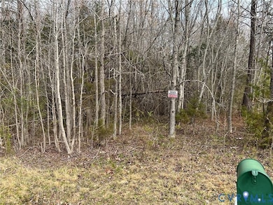 00 Broad Street Rd, Goochland, VA 23129 - photo 5