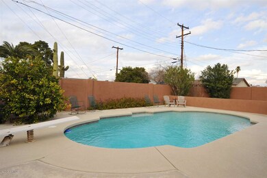 POOL / DIVING BOARD