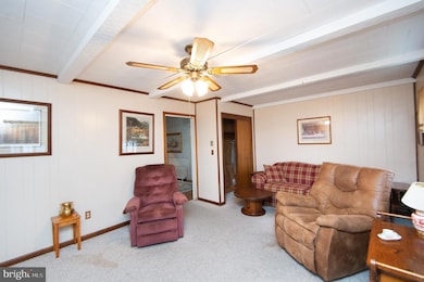 113 Talbot Ave, Cambridge, MD 21613 - photo 7