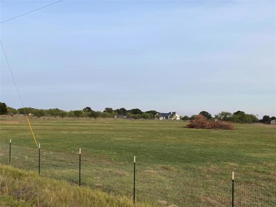 1011 Turkey Meadows Ln, Weatherford, TX 76088 - photo 6