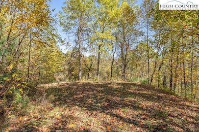 TBD Rocky Knob Rd, Lenoir, NC 28645 - photo 3