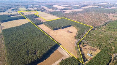 1432 S Friendfield Rd, Scranton, SC 29591 - photo 4