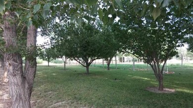 2355 Lower Pond Ln, Homedale, ID 83628 - photo 6