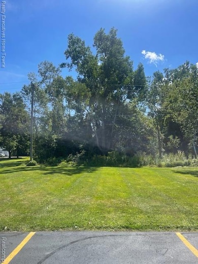 00 Campau Ave, Port Huron Township, MI 48060 - photo 5