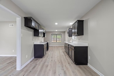 Kitchen with a sink, light wood finished floors, dark cabinetry, light countertops, and baseboards