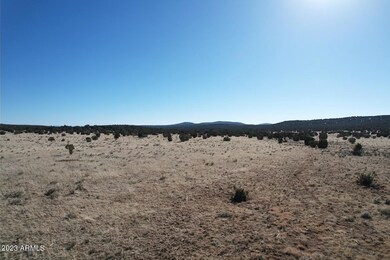 53770 N Via de Oro Pkwy unit 1486, Seligman, AZ 86337 - photo 5