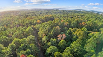 88 Deodar Dr, Brookeland, TX 75931 - photo 3