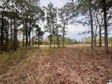 0 County Road 82, Newell, AL 36280 - photo 3