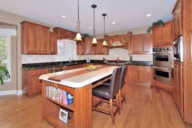 297 N Maple Ave, Elmhurst, IL 60126 - photo 5