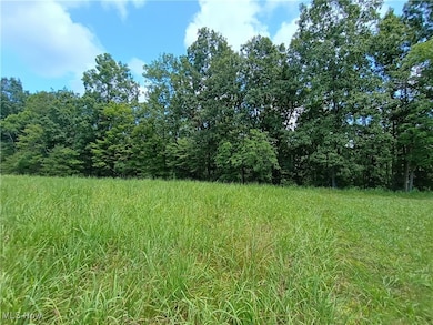 0 R 9 unit 5139092, Arnoldsburg, WV 25234 - photo 7