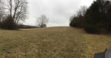 Mostly cleared pastureland