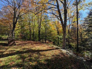 359 Case Ln, Readsboro, VT 05350 - photo 6