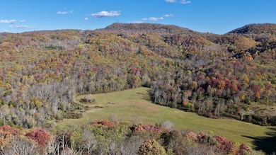 3025 Broad Run Rd, Sinks Grove, WV 24976 - photo 5