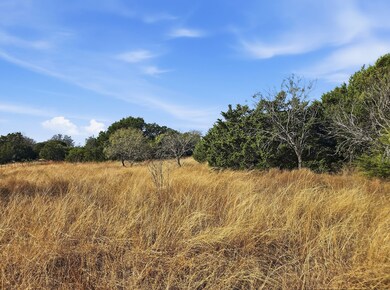 Lot 25 & 26 Ph 4 Private Road 4212, Evant, TX 76525 - photo 7