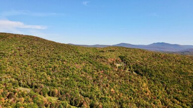 393 B G Partridge Rd, Ashland, NY 12496 - photo 4