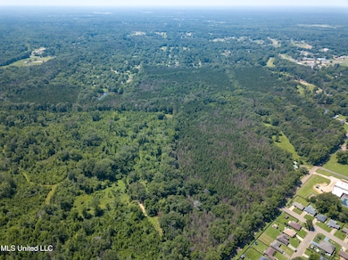 DJI_0383