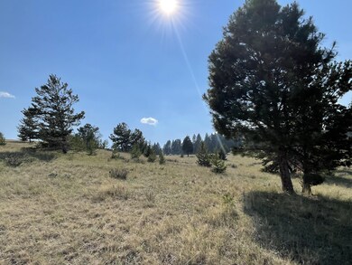 Montana Skies