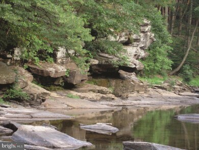 6013 State Park Rd, Pipersville, PA 18947 - photo 3