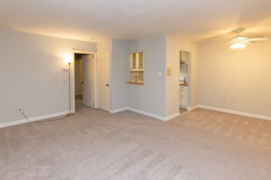 95 Grove St unit 3, West Roxbury, MA 02132 - photo 4