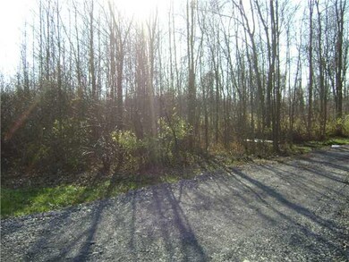 Land Trees at entry offer privacy and seclusion to 3 acres of cleared land