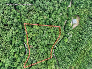 LOT 20 Locust Ln, Morganton, GA 30560 - photo 2