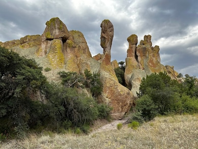 0 Xx C Bar Ranch Rd unit 17145279, Silver City, NM 88061 - photo 2