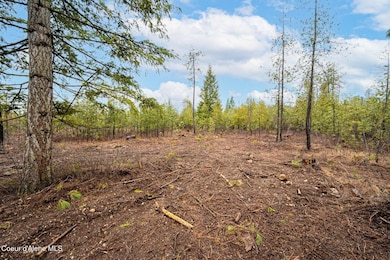 Bennett - Ground View