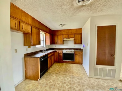 1111 W Idaho Ave, Hobbs, NM 88242 - photo 6