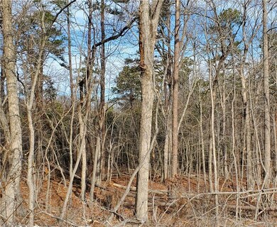 0 Rosemont Rd unit 1131923, Asheboro, NC 27203 - photo 4