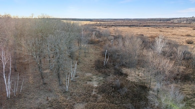 TBD 294th, Meadow Township, MN 56477 - photo 5