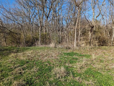 TBD W Heron St, Denison, TX 75020 - photo 4