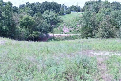 0000 Summit Dr, Noel, MO 64854 - photo 5