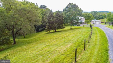 233 Turkey Knob Rd, Quicksburg, VA 22847 - photo 5