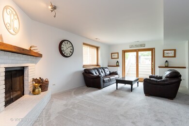10S556 Book Rd, Naperville, IL 60564 - photo 4