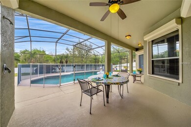 ENJOY FLORIDA LIVING ON THE OVERSIZED LANAI (30X11
