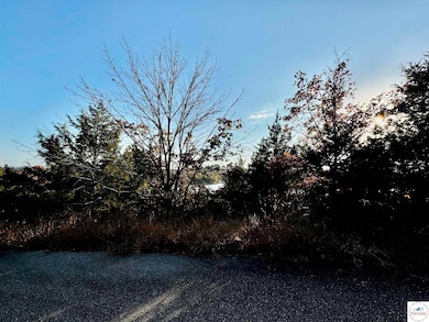 lot 17 Lake Horizons Blvd, Gravois Mills, MO 65037 - photo 3