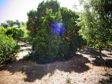 32829 Lilac unit 32829, Valley Center, CA 92082 - photo 7