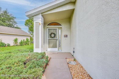 11409 Deercroft Ct, Spring Hill, FL 34609 - photo 6