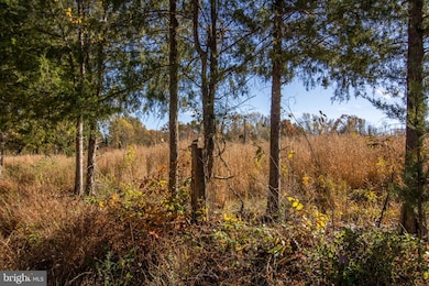 TBD Piney Grove Rd unit 21, Alton, VA 24520 - photo 7